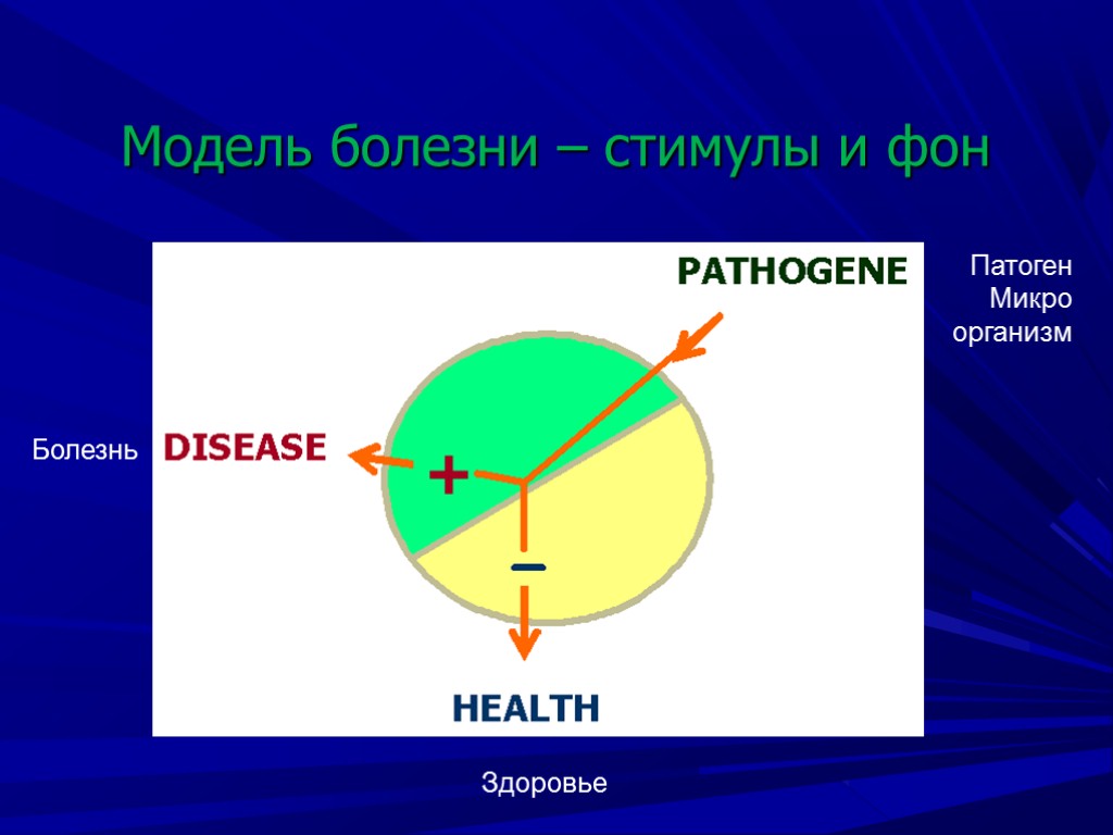 Модель болезни – стимулы и фон + PATHOGENE HEALTH DISEASE Патоген Микро организм Здоровье